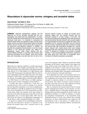 Musculature in Sipunculan Worms: Ontogeny and Ancestral States
