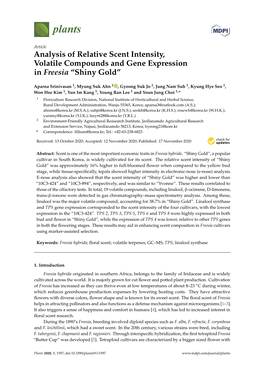 Analysis of Relative Scent Intensity, Volatile Compounds and Gene Expression in Freesia “Shiny Gold”