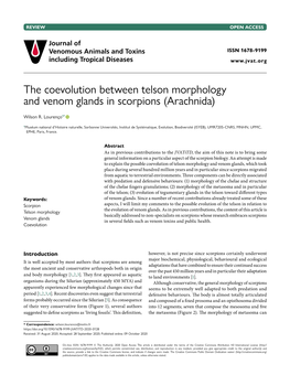 The Coevolution Between Telson Morphology and Venom Glands in Scorpions (Arachnida)