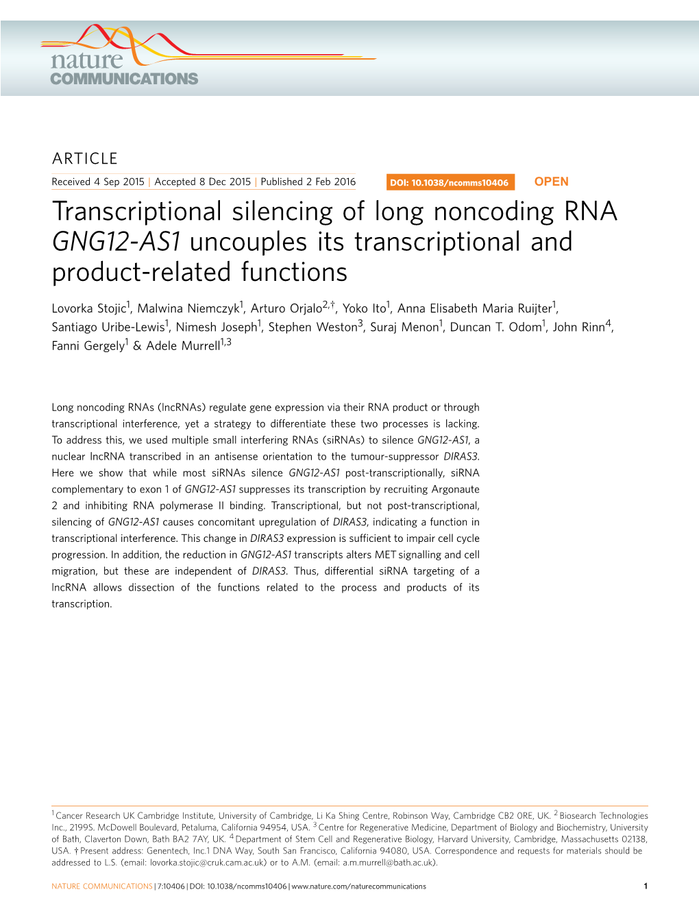 GNG12-AS1 Uncouples Its Transcriptional and Product-Related Functions
