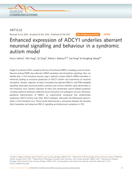 Enhanced Expression of ADCY1 Underlies Aberrant Neuronal Signalling and Behaviour in a Syndromic Autism Model