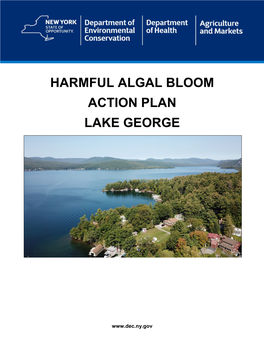 Harmful Algal Bloom Action Plan Lake George