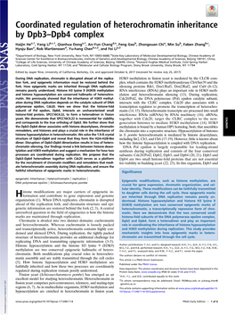 Coordinated Regulation of Heterochromatin Inheritance by Dpb3–Dpb4 Complex