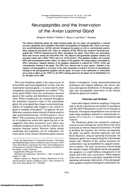 Neuropeptides and the Innervation of the Avian Lacrimal Gland