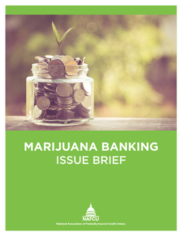Marijuana Banking Issue Brief