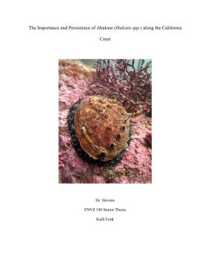 The Importance and Persistence of Abalone (Haliotis Spp.) Along the California