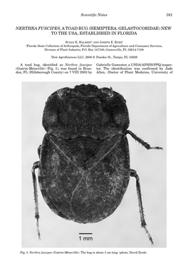 Nerthra Fuscipes, a Toad Bug (Hemiptera: Gelastocoridae) New to the Usa, Established in Florida