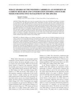 Whale Sharks of the Western Caribbean: an Overview of Current Research and Conservation Efforts and Future Needs for Effective Management of the Species