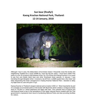 Sun Bear (Finally!) Kaeng Krachan National Park, Thailand: 12‐14 January, 2018