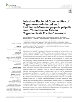Intestinal Bacterial Communities of Trypanosome-Infected and Uninfected Glossina Palpalis Palpalis from Three Human African Trypanomiasis Foci in Cameroon