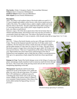 Flea Beetles (Order: Coleoptera, Family: Chrysomelidae/Alticinae) Tobacco (Epitrix Hirtipennis (Melsheimer)) Southern Tobacco (
