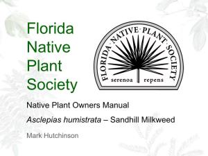 Asclepias Humistrata – Sandhill Milkweed
