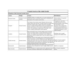 Cranial Arteries of the Adult Giraffe