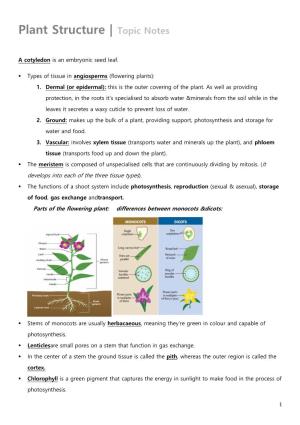 Plant Structure | Topic Notes