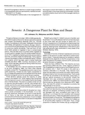 Senecio: a Dangerous Plant for Man and Beast A.E