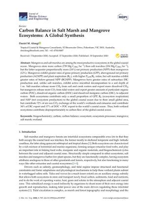 Carbon Balance in Salt Marsh and Mangrove Ecosystems: a Global Synthesis