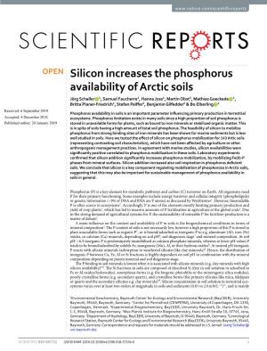 Silicon Increases the Phosphorus Availability of Arctic Soils