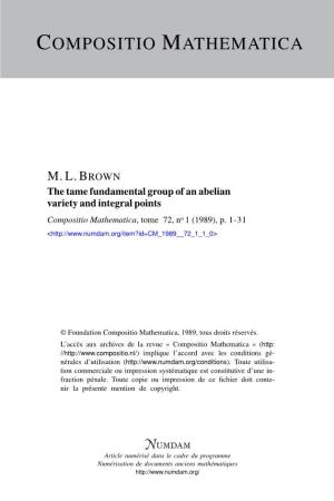 The Tame Fundamental Group of an Abelian Variety and Integral Points Compositio Mathematica, Tome 72, No 1 (1989), P