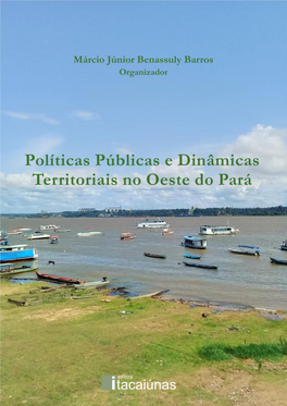 Políticas Públicas E Dinâmicas Territoriais No Oeste Do Pará 1ª Edição Márcio Júnior Benassuly Barros Organizador
