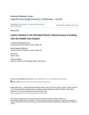 Latino Families in the Perinatal Period: Cultural Issues in Dealing with the Health-Care System