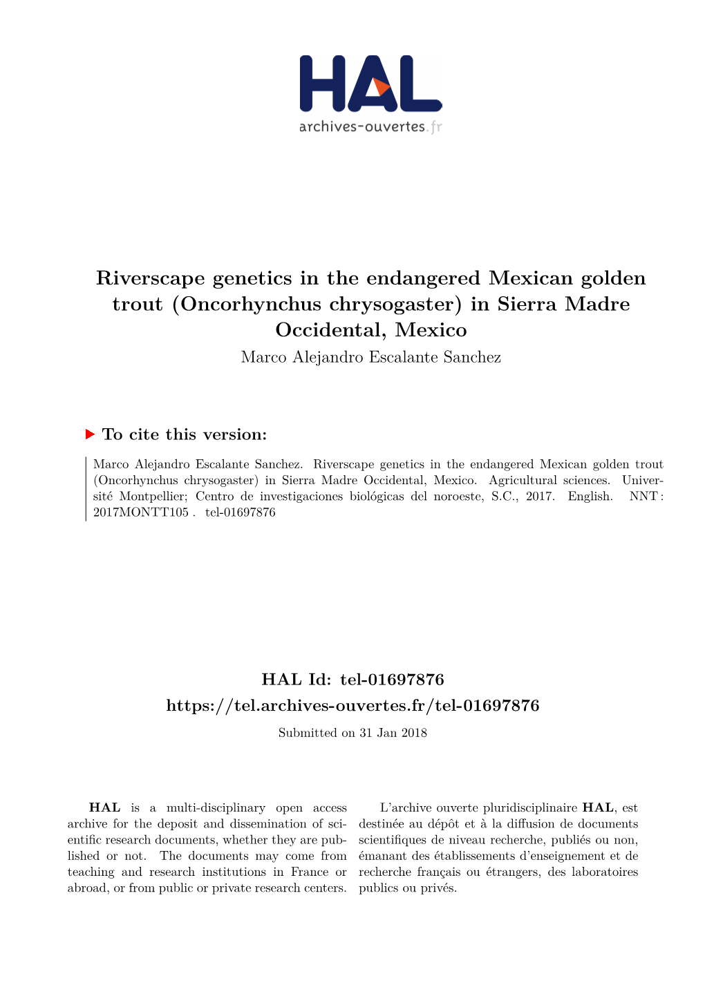 Riverscape Genetics in the Endangered Mexican Golden Trout (Oncorhynchus Chrysogaster) in Sierra Madre Occidental, Mexico Marco Alejandro Escalante Sanchez