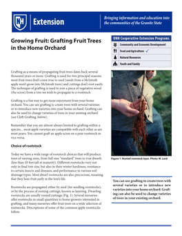 Growing Fruit: Grafting Fruit Trees in the Home Orchard 