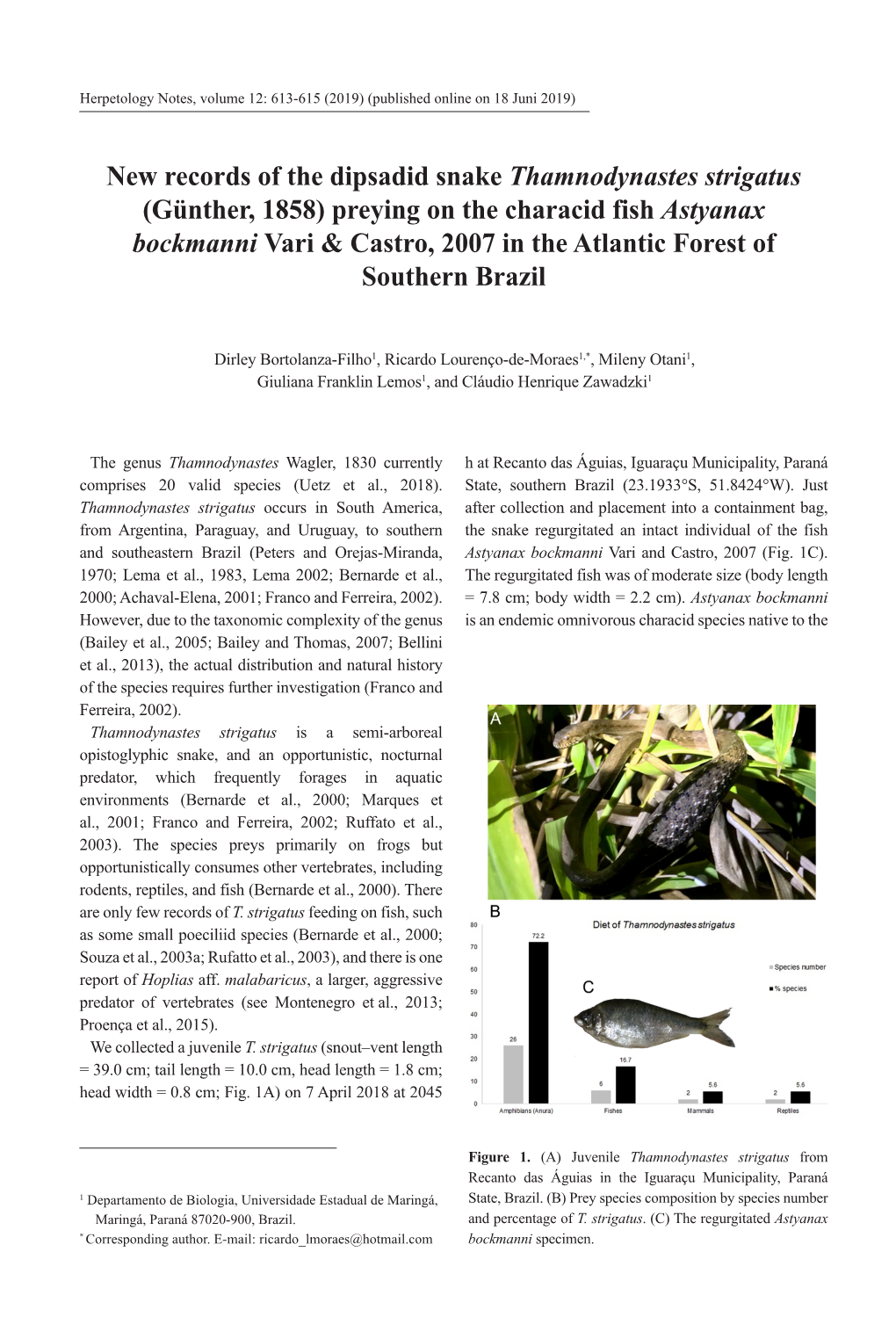 New Records of the Dipsadid Snake Thamnodynastes Strigatus