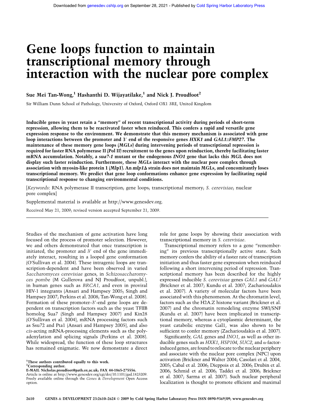 Gene Loops Function to Maintain Transcriptional Memory Through Interaction with the Nuclear Pore Complex