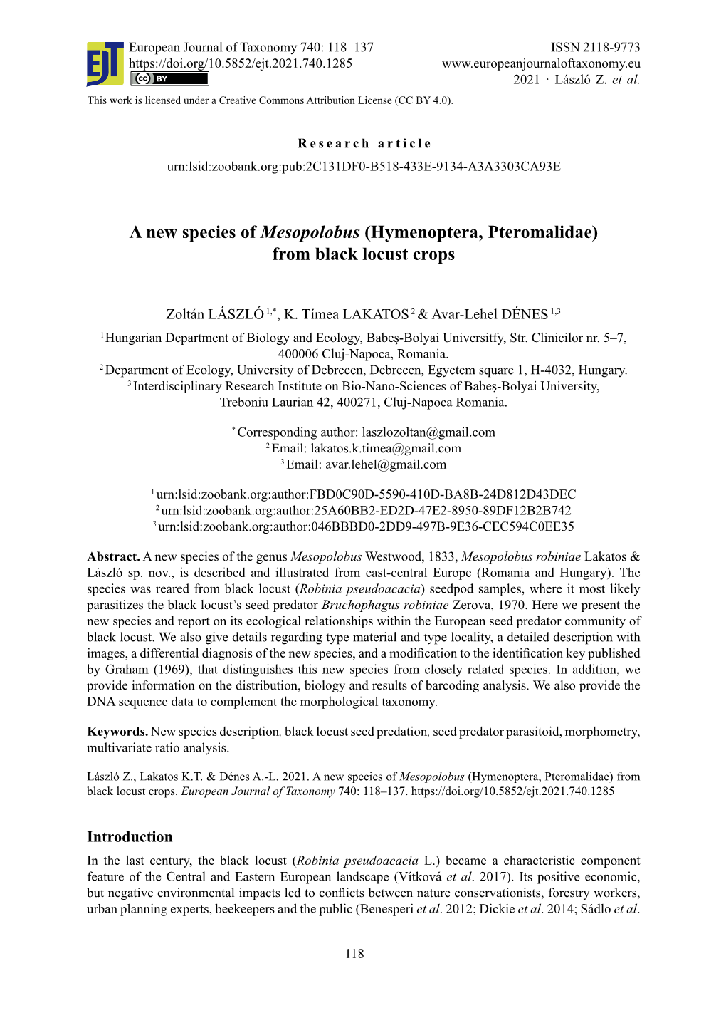 A New Species of Mesopolobus (Hymenoptera, Pteromalidae) from Black Locust Crops