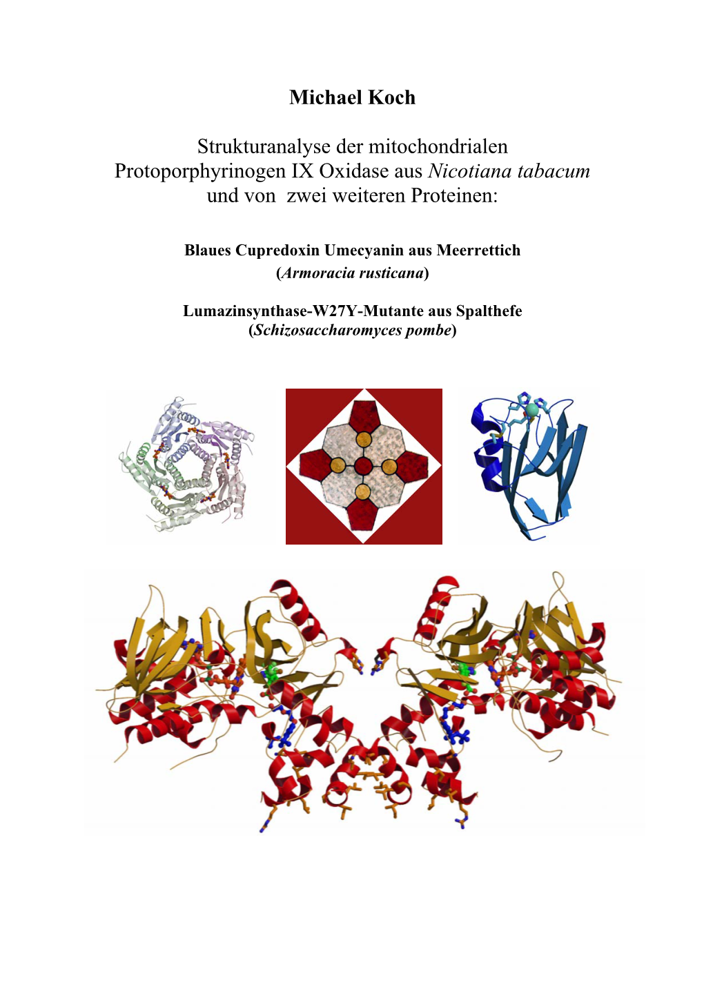 Michael Koch Strukturanalyse Der Mitochondrialen