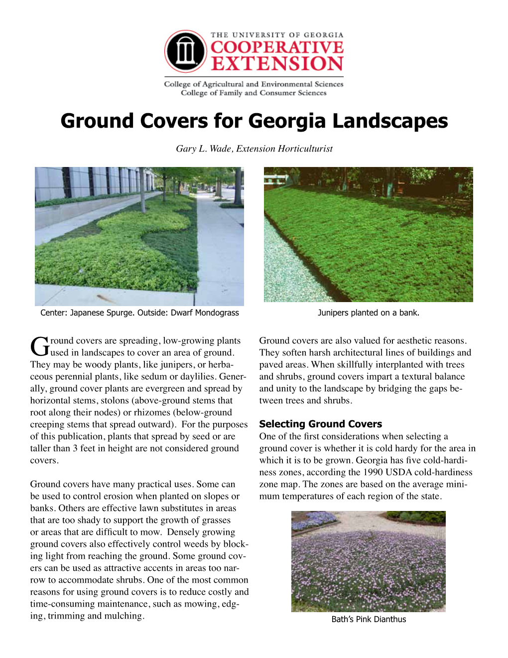 Ground Covers for Georgia Landscapes