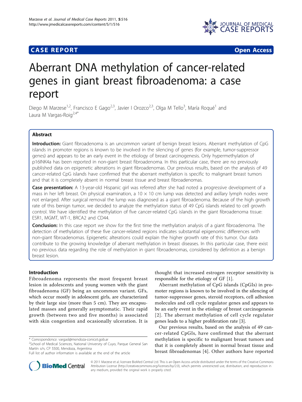 Aberrant DNA Methylation of Cancer-Related