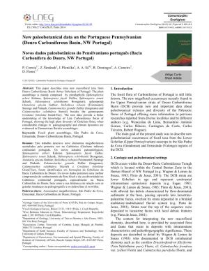 New Paleobotanical Data on the Portuguese Pennsylvanian (Douro Carboniferous Basin, NW Portugal)