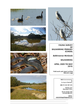 FAUNA SURVEY of BALNARRING PRIMARY SCHOOL Balbirooroo Wetlands BALNARRING APRIL 2009 to MAY 2010