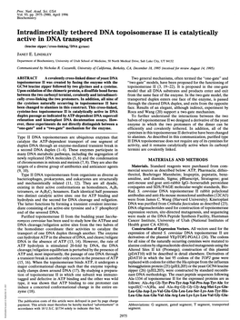 Intradimerically Tethered DNA Topoisomerase II Is Catalytically Active in DNA Transport (Leucine Zipper/Cross-Linking/DNA Gyrase) JANET E