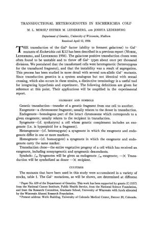 Ability to Ferment Galactose) to Gal- Tmutants of Escherichia Coli K12 Has Been Described in a Previous Report (MORSE, LEDERBERG,And LEDERBERG1956)