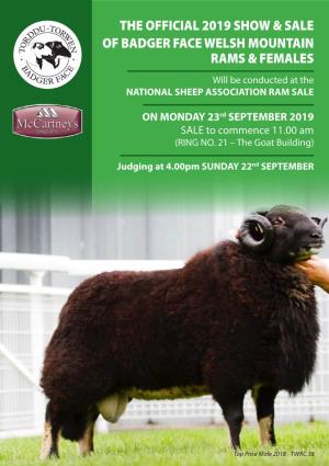 The Official 2019 Show & Sale of Badger Face Welsh Mountain Rams & Females