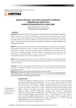 Branch Retinal Vein Occlusion with Vitreous