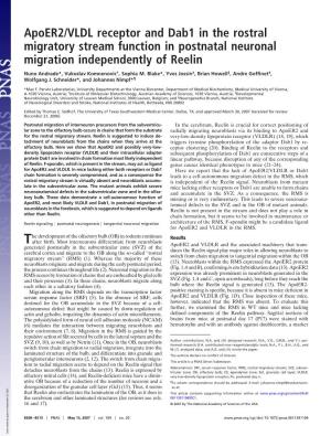 Apoer2/VLDL Receptor and Dab1 in the Rostral Migratory Stream Function in Postnatal Neuronal Migration Independently of Reelin