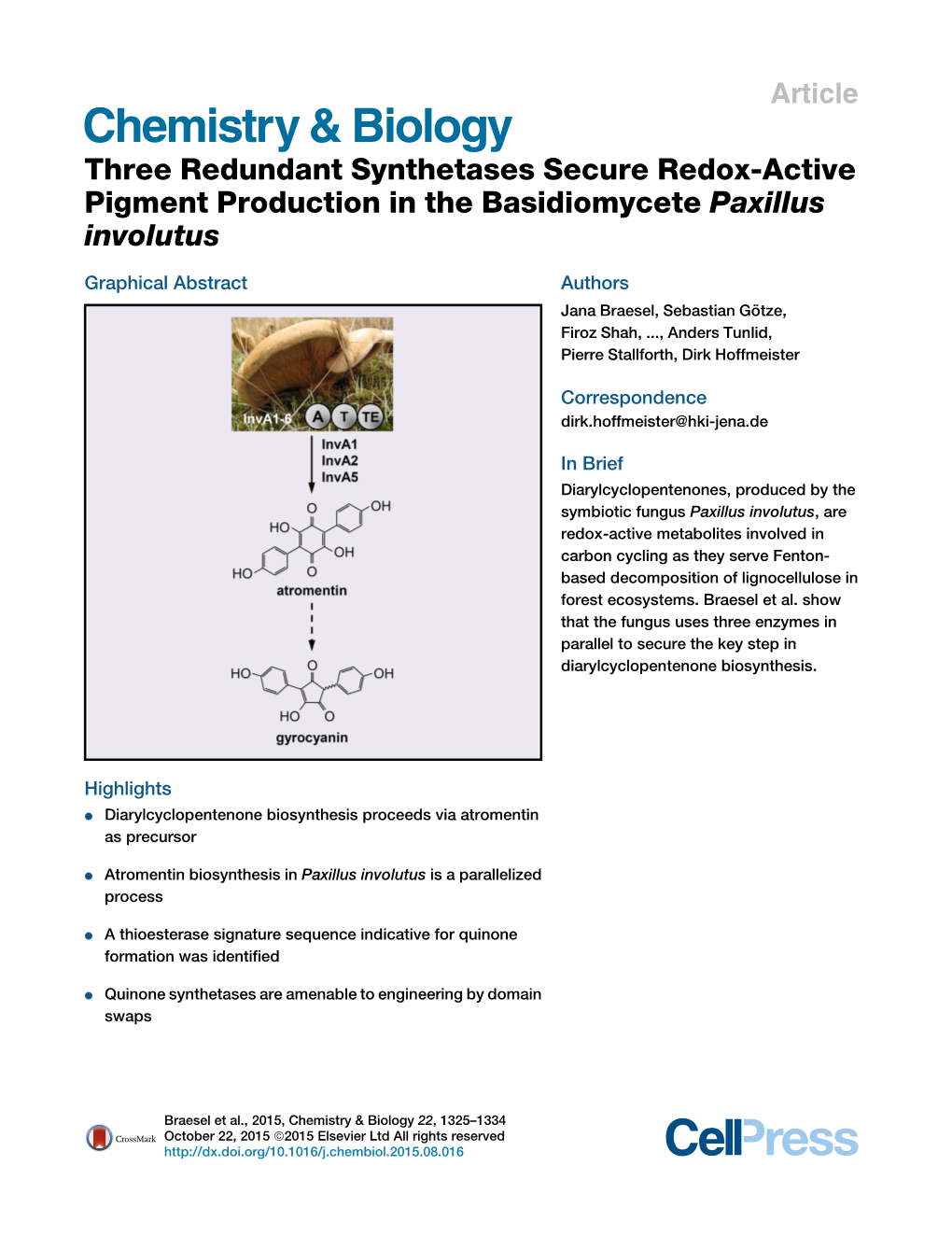 Three Redundant Synthetases Secure Redox-Active Pigment Production in the Basidiomycete Paxillus Involutus