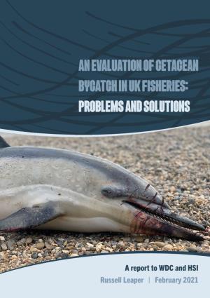 An Evaluation of Cetacean Bycatch in UK Fisheries: Problems and Solutions