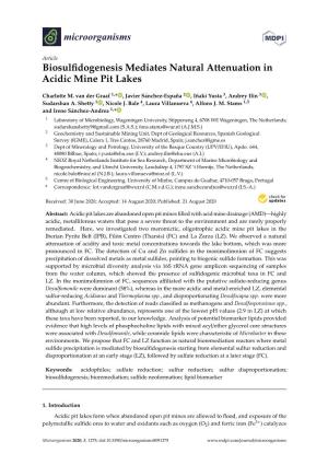Biosulfidogenesis Mediates Natural Attenuation in Acidic Mine Pit Lakes