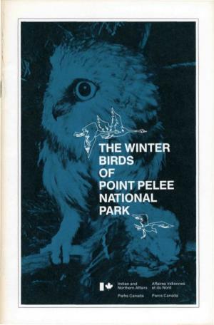 The Winter Birds Point Pelee National Park