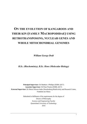 On the Evolution of Kangaroos and Their Kin (Family Macropodidae) Using Retrotransposons, Nuclear Genes and Whole Mitochondrial Genomes