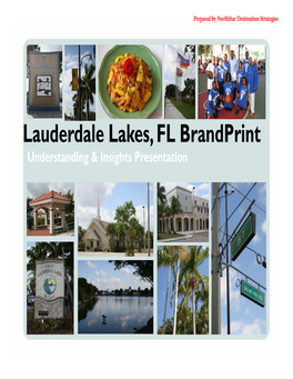 Lauderdale Lakes, FL Brandprint Understanding & Insights Presentation Community