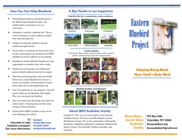Eastern Bluebird Project Brochure