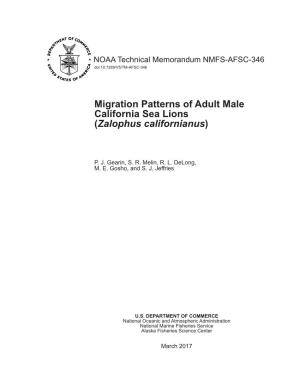 Migration Patterns of Adult Male California Sea Lions (Zalophus Californianus)