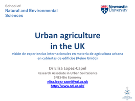 Urban Agriculture in the UK Visión De Experiencias Internacionales En Materia De Agricultura Urbana En Cubiertas De Edificios (Reino Unido)