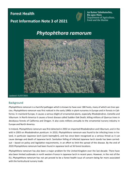 Phytophthora Ramorum