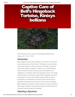 Captive Care of Bell's Hingeback Tortoise, Kinixys Belliana